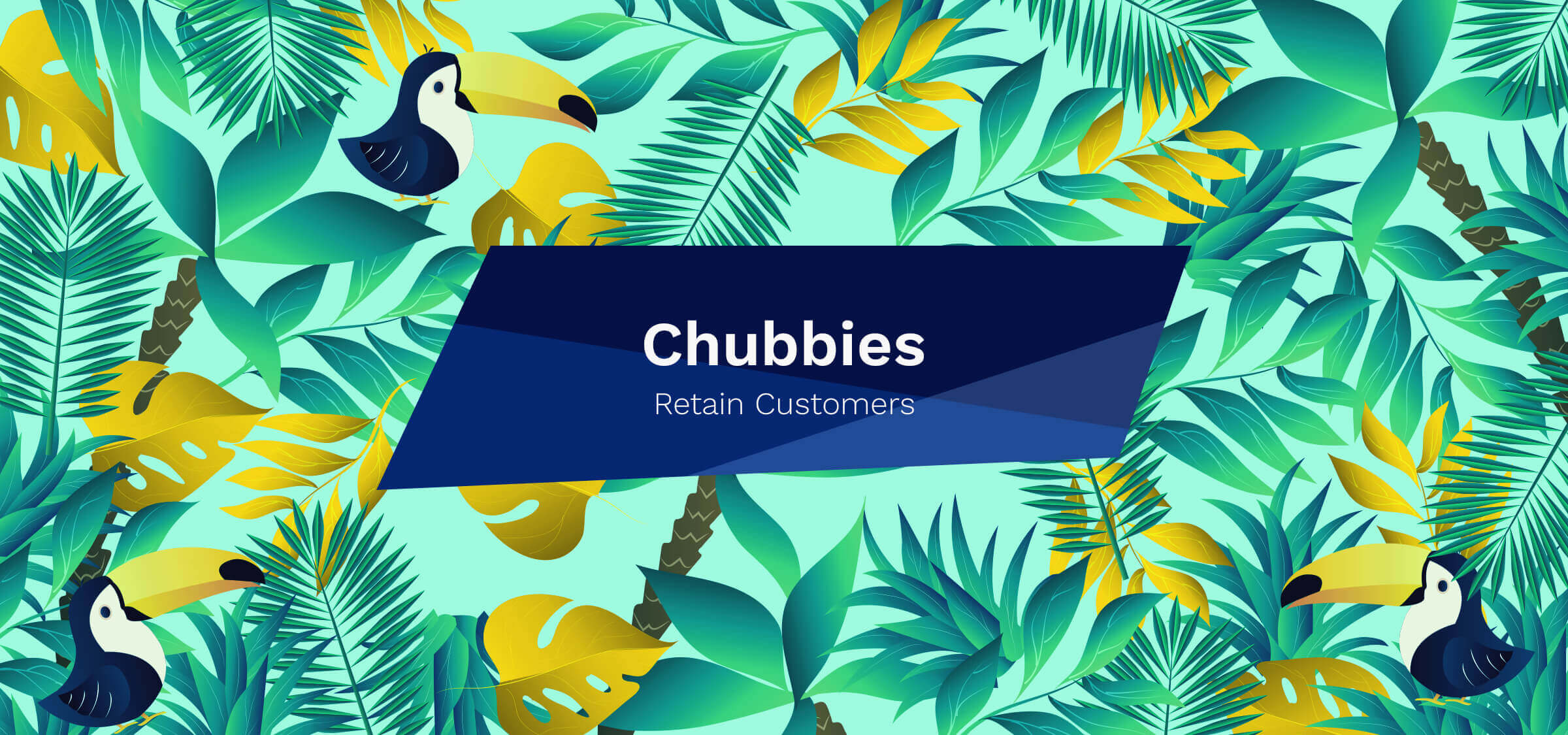 Feature customer Instagram photos in emails