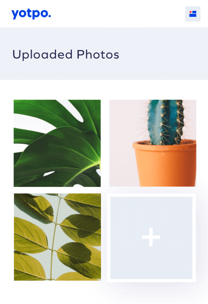 Visual Influencer-Generated Content