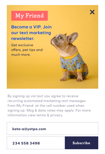 SMS subscription popup mockup 