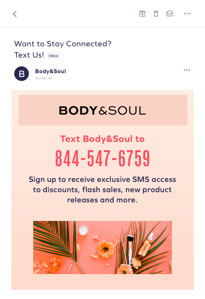SMS opt-in email mockup