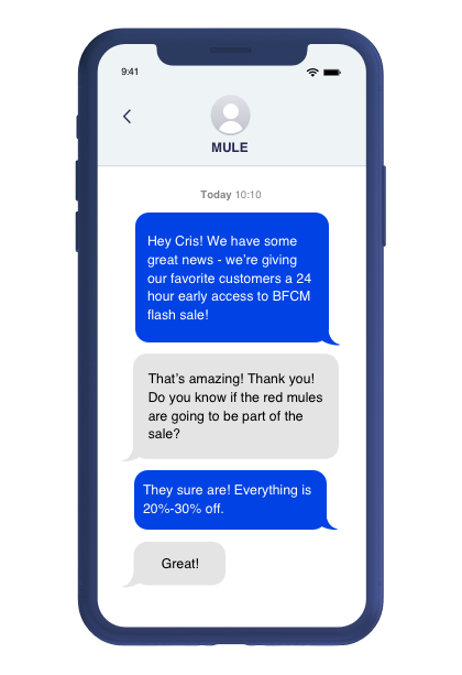 SMS conversation flow mockup