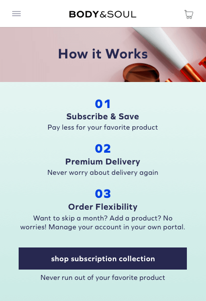 subscription landing page mockup