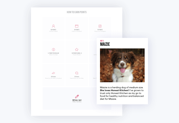 The Honest Kitchen rewards program with a pop-up image of a dog