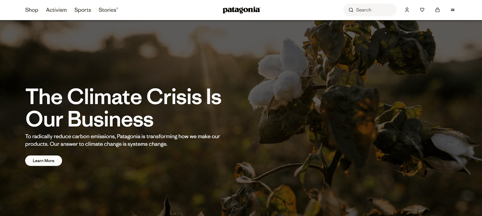 10 brand promise examples that build unshakeable customer loyalty google docs 4 10 exemple de promisiuni de branding care construiesc o loialitate de nezdruncinat a clienților 11