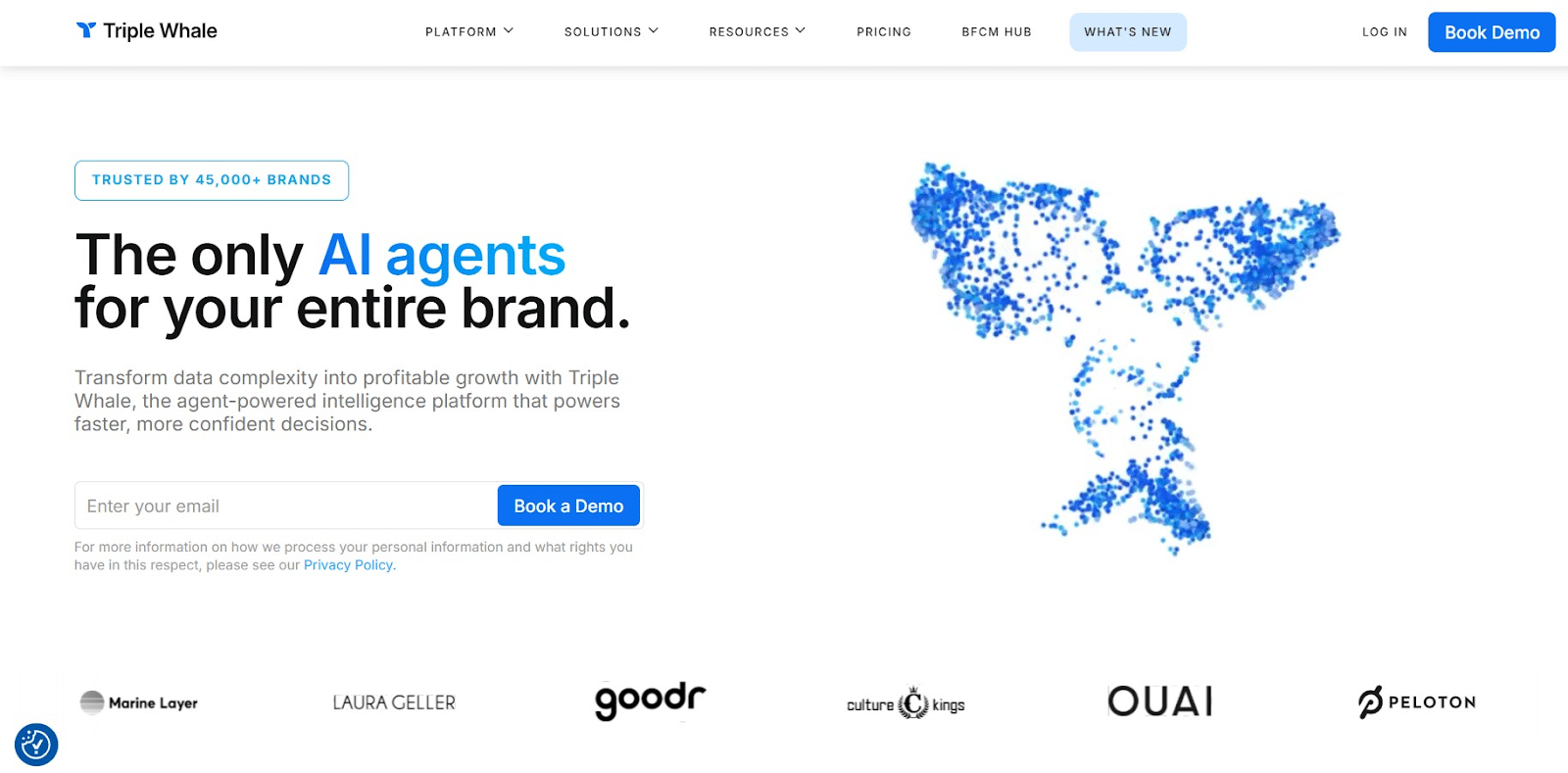 unnamed 5 Top 10 Ecommerce Affiliate Programs to be a Part of in 2026 35