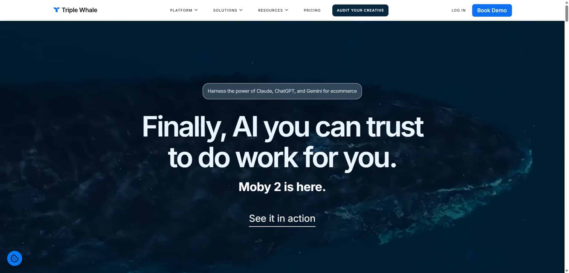 competitor triplewhale homepage 2026 v2 8 Best AEO Platforms for Ecommerce Brands in 2026 13 Triple Whale (Anteater) homepage